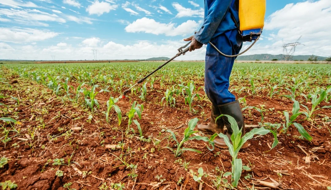 Manejo seguro de agroquímicos: protege tu cultivo, tu salud y el ambiente