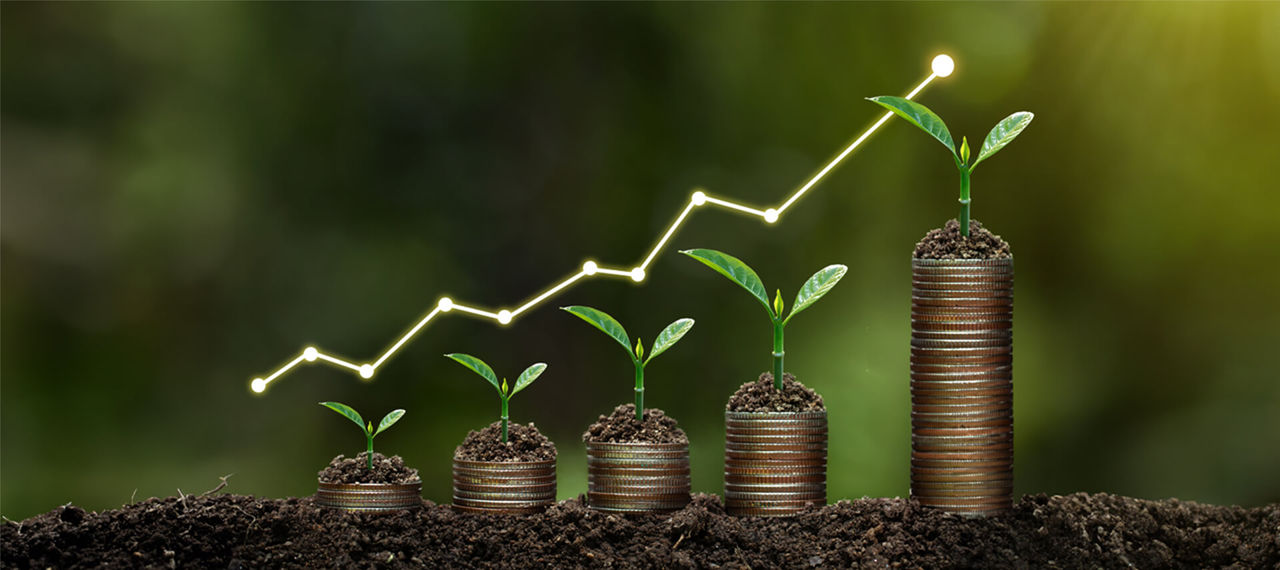 Financiar un cultivo en Colombia: el reto que define la rentabilidad del productor
