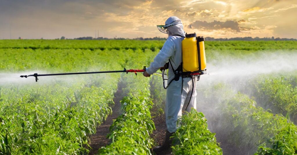 Herbicidas para maíz en Colombia: cómo elegir el más efectivo según el tipo de maleza